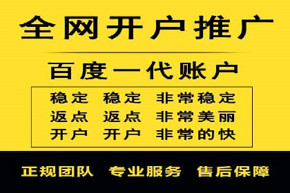百度竞价推广公司经典案例解析：广告投放策略的智慧